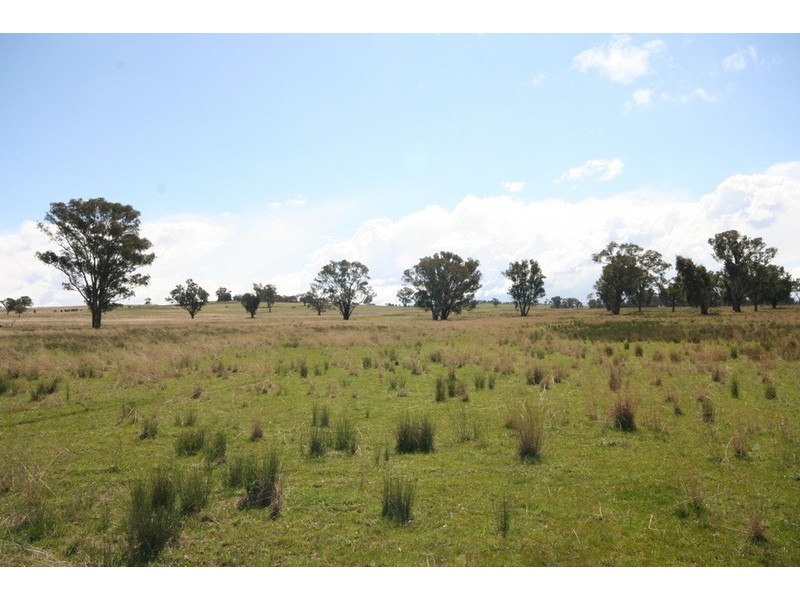 Gulgong NSW 2852