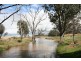 Gulgong NSW 2852