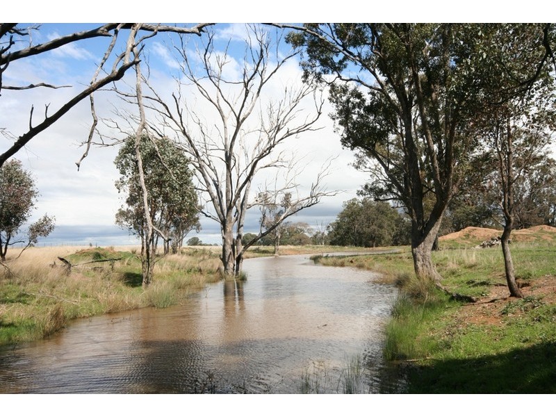 Gulgong NSW 2852