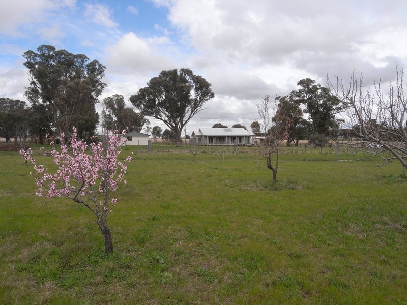 Cooyal NSW 2850