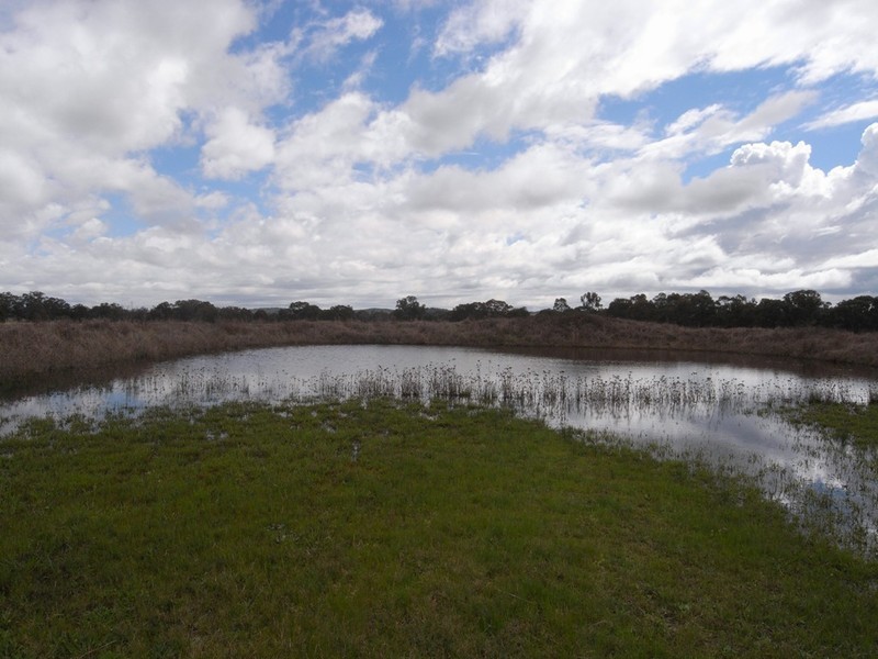 Cooyal NSW 2850
