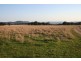 Mudgee NSW 2850