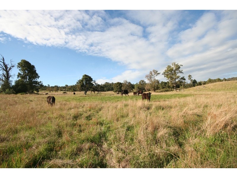 Mudgee NSW 2850