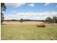 Gulgong NSW 2852