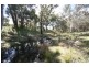 Gulgong NSW 2852