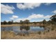 Gulgong NSW 2852
