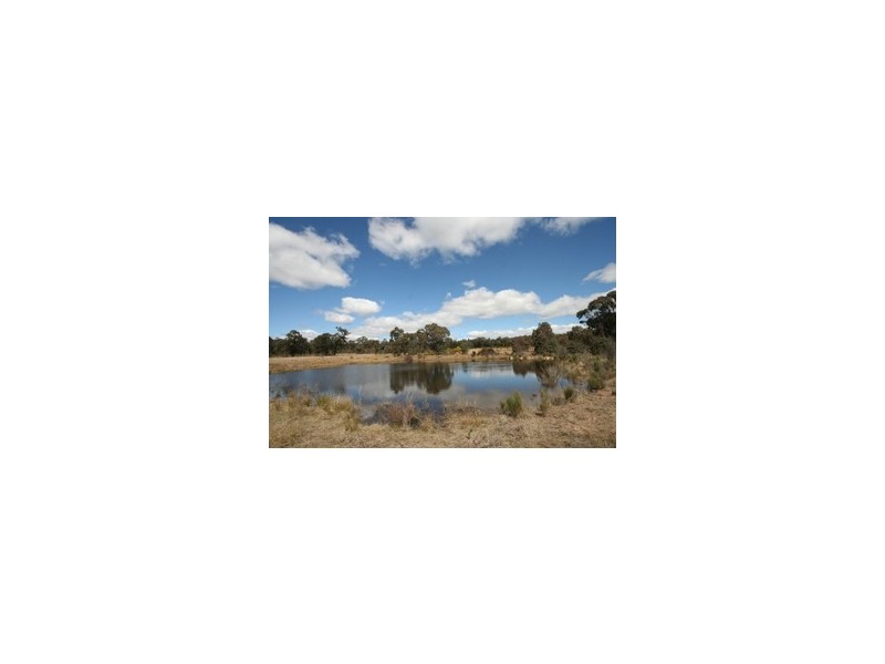 Gulgong NSW 2852