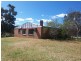 Gulgong NSW 2852