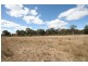 Gulgong NSW 2852