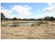 Gulgong NSW 2852