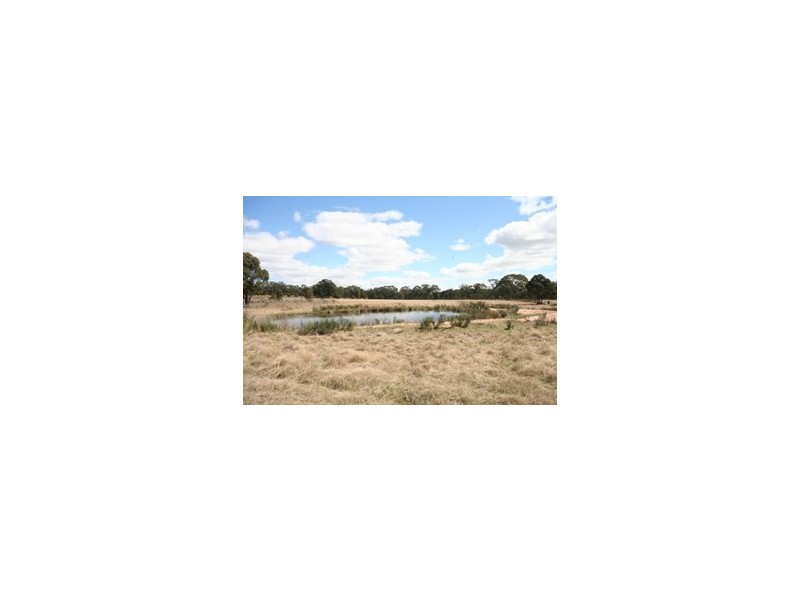 Gulgong NSW 2852