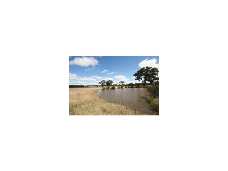 Gulgong NSW 2852