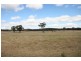 Gulgong NSW 2852