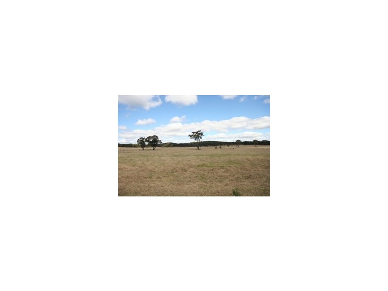 Gulgong NSW 2852