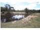 Gulgong NSW 2852