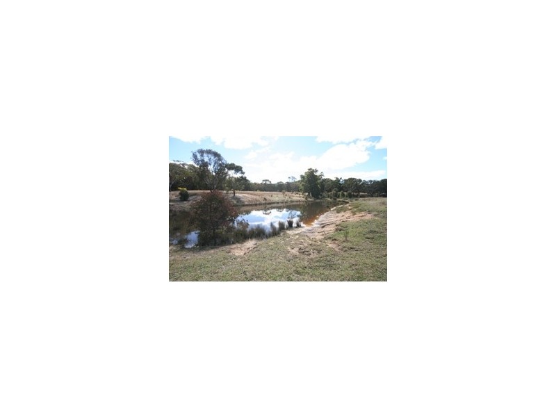 Gulgong NSW 2852