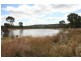 Gulgong NSW 2852