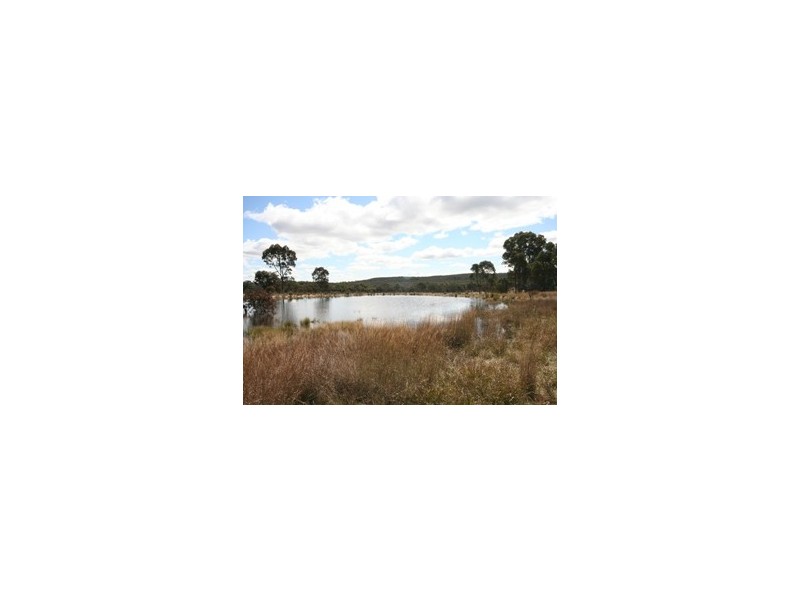 Gulgong NSW 2852