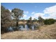 Gulgong NSW 2852