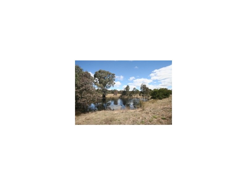 Gulgong NSW 2852