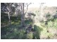 Bocoble NSW 2850