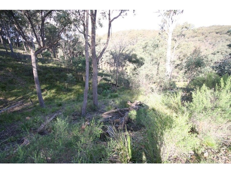Bocoble NSW 2850