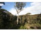 Bocoble NSW 2850
