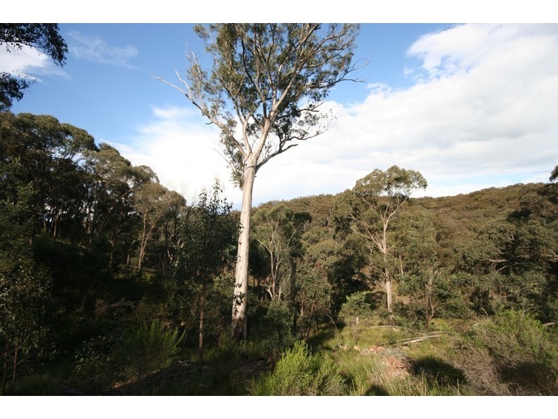 Bocoble NSW 2850