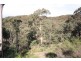 Bocoble NSW 2850