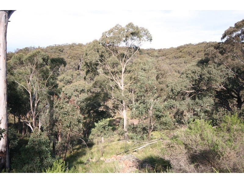 Bocoble NSW 2850
