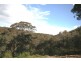 Bocoble NSW 2850