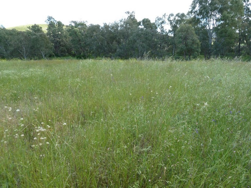 Biraganbil NSW 2852