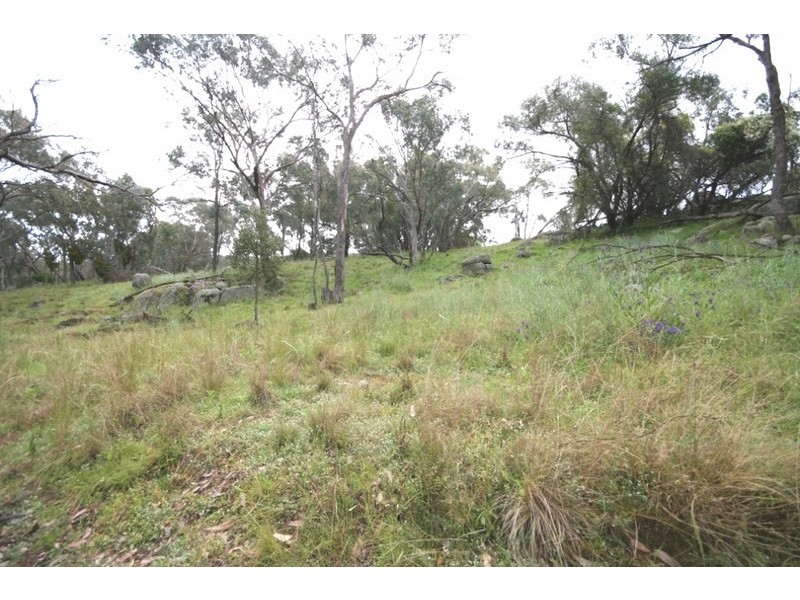 Mudgee NSW 2850