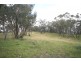 Mudgee NSW 2850