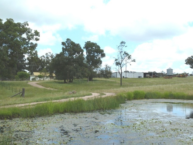 Mudgee NSW 2850