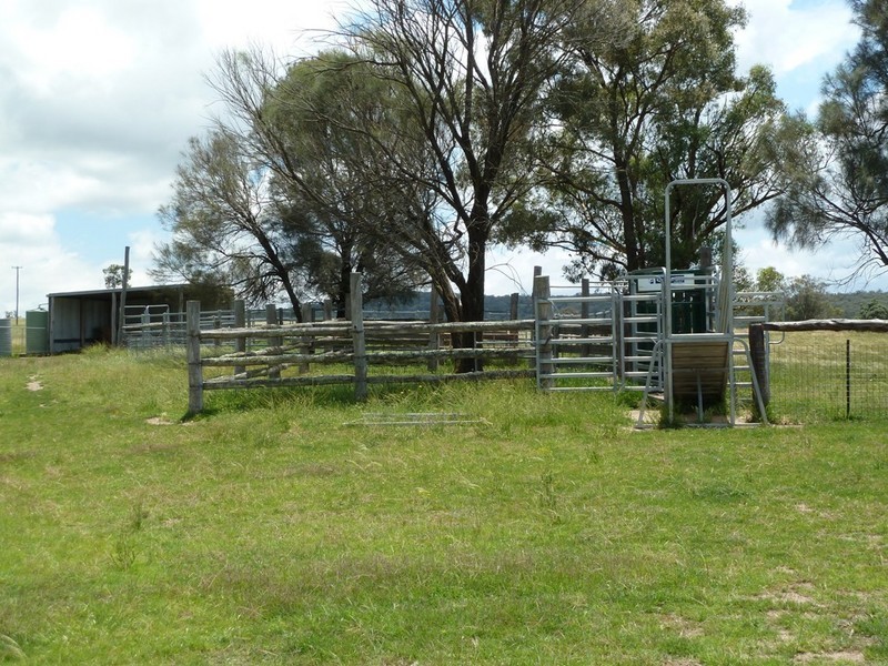 Mudgee NSW 2850