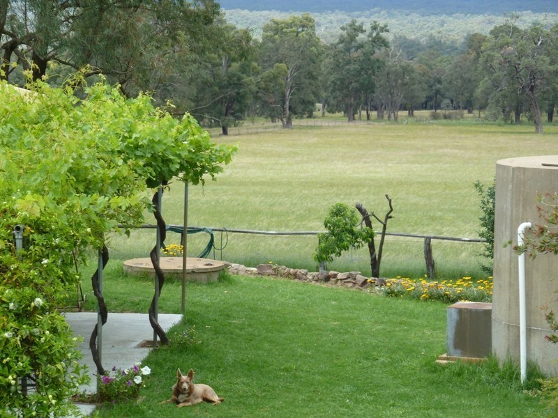 Mudgee NSW 2850