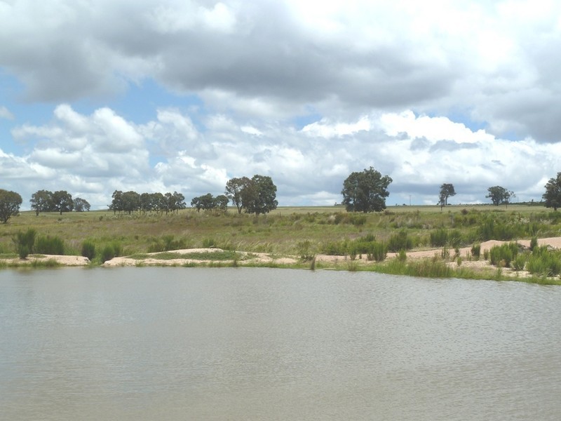 Mudgee NSW 2850