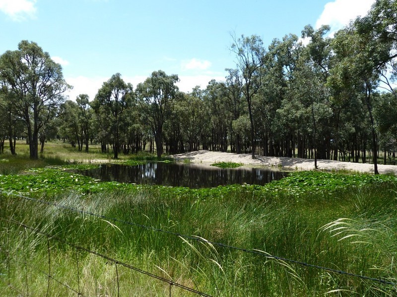 Mudgee NSW 2850