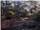 Gulgong NSW 2852