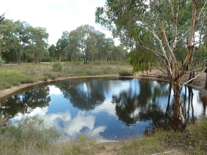 Mudgee NSW 2850