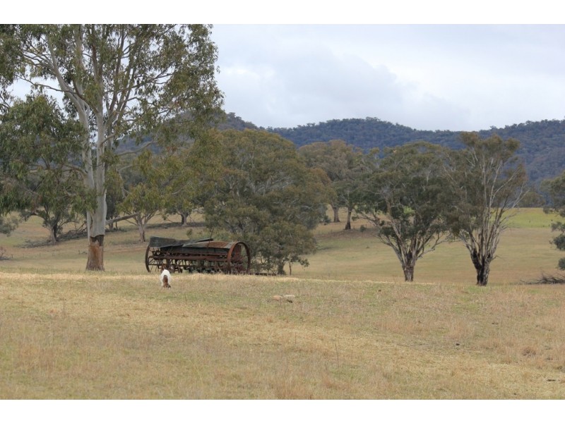 Mudgee NSW 2850