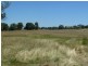 Mudgee NSW 2850