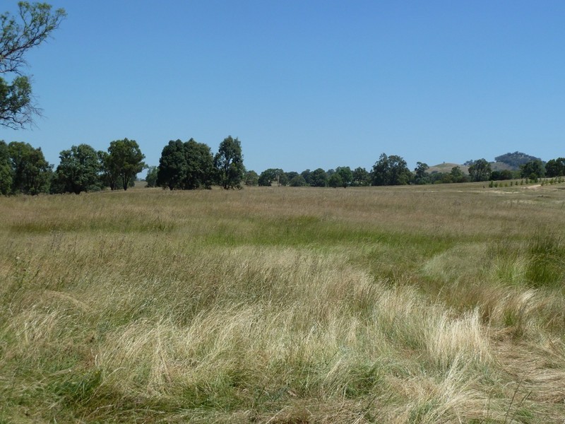 Mudgee NSW 2850