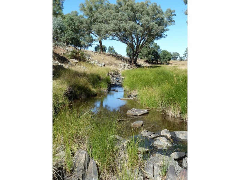 Mudgee NSW 2850