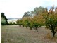 Mudgee NSW 2850