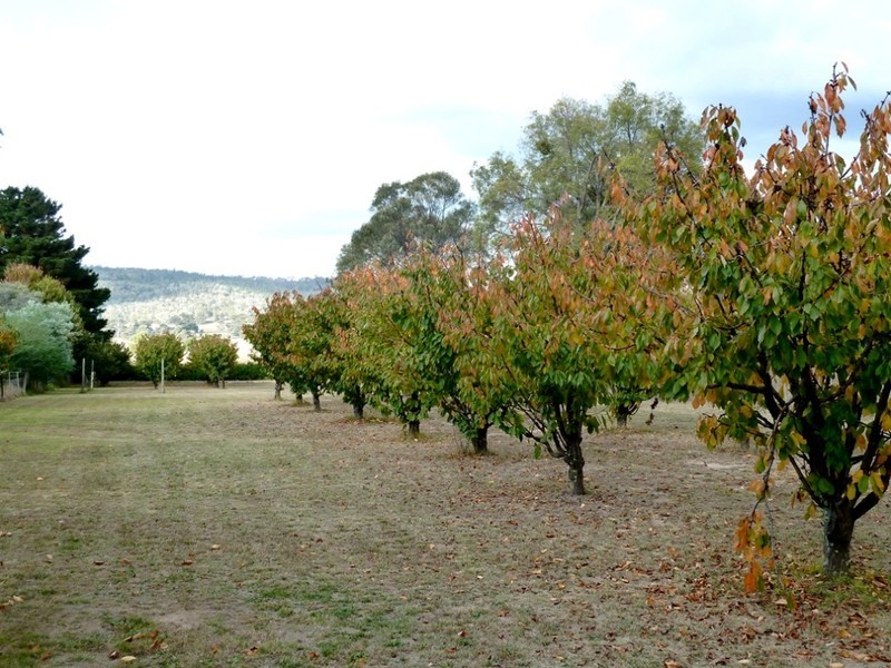 Mudgee NSW 2850