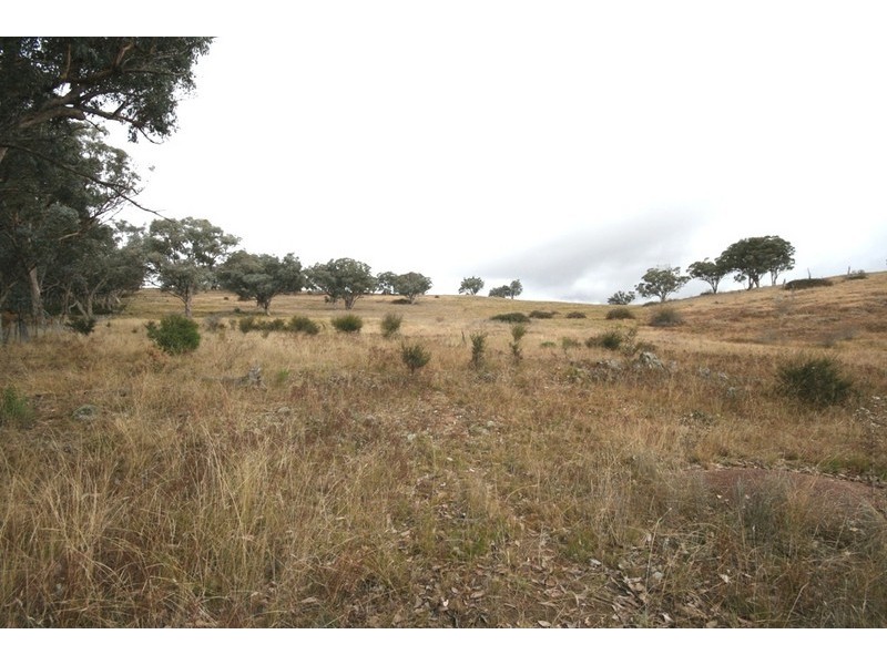 Mudgee NSW 2850