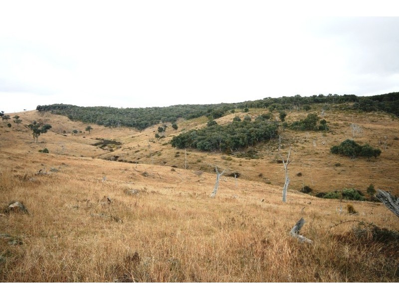 Mudgee NSW 2850