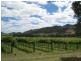 Mudgee NSW 2850